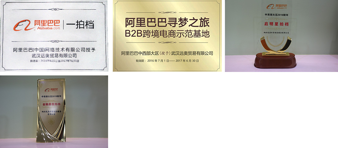 企業(yè)榮譽(yù)_03.jpg