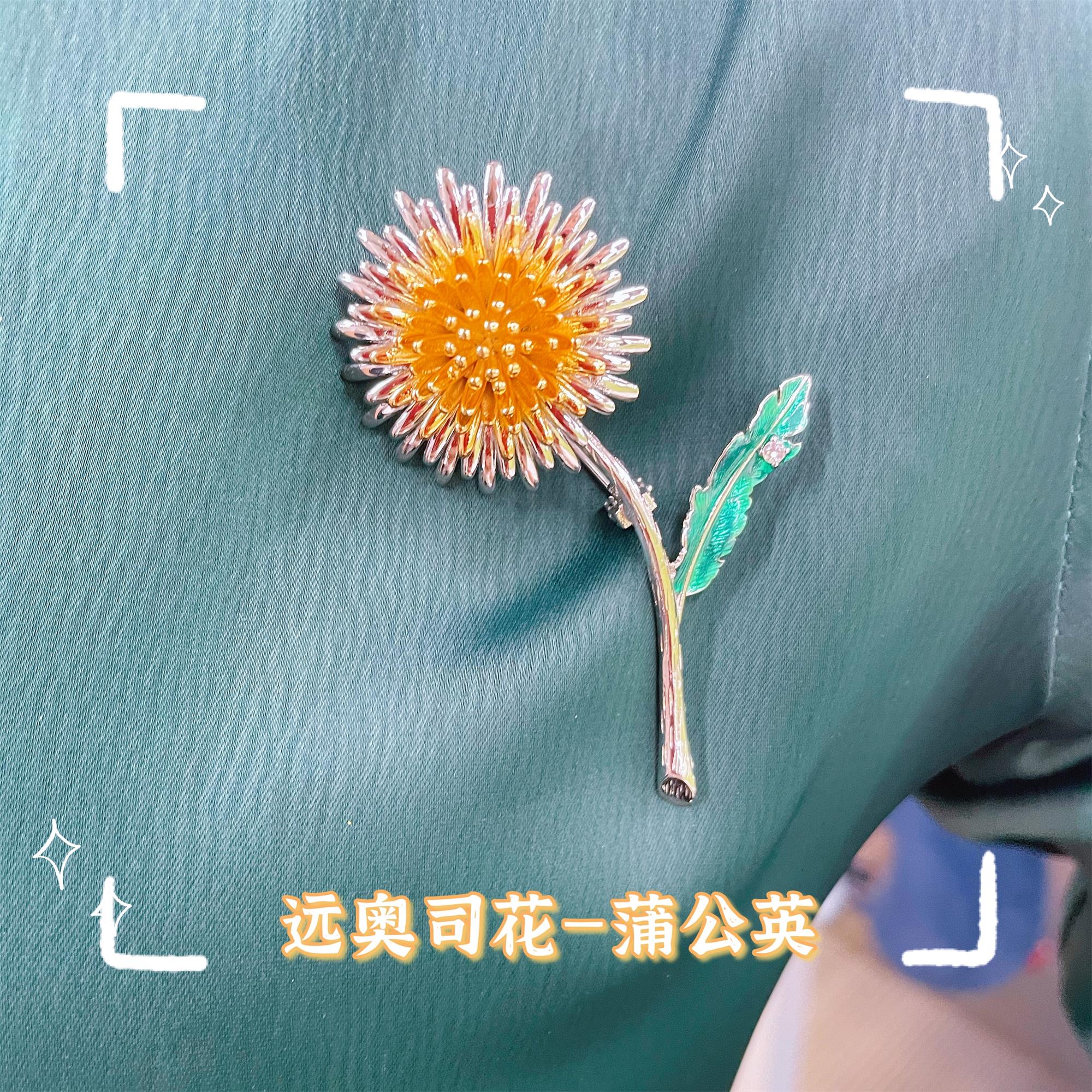11、遠(yuǎn)奧司花-蒲公英.jpg